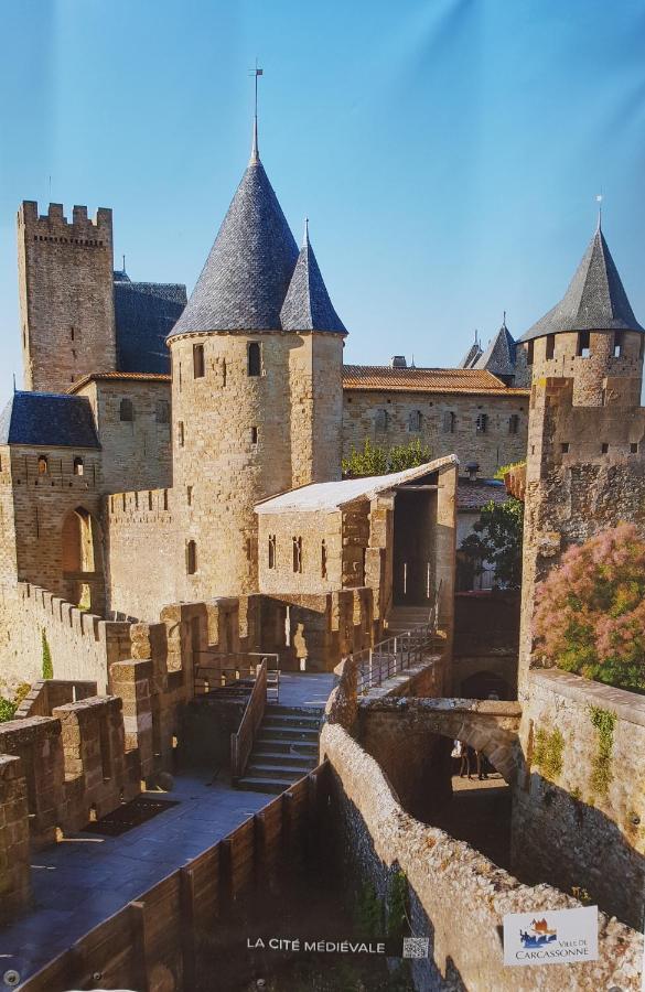 Ma Pierre A L'Edifice, Face A La Cite Vue Sublime, Studio Avec Terrasse Carcassonne Dış mekan fotoğraf
